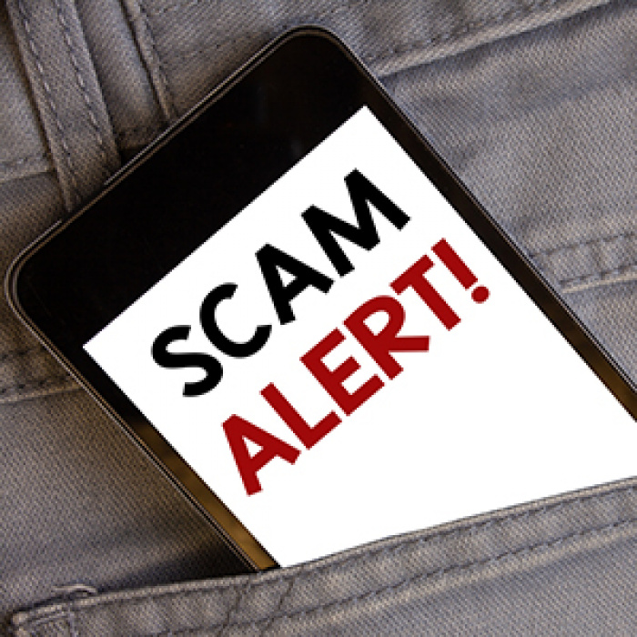 Smartphone in pants pocket with SCAM ALERT on screen