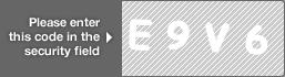 captcha code for visual authentication  letter E number 9 letter V number 6